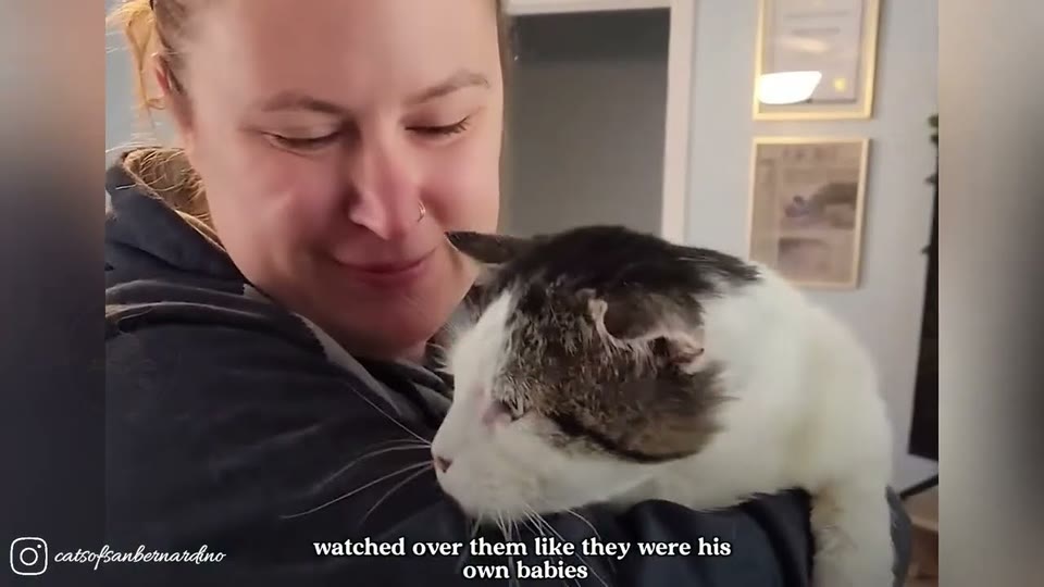Video frame for A Heartbreaking Surrender