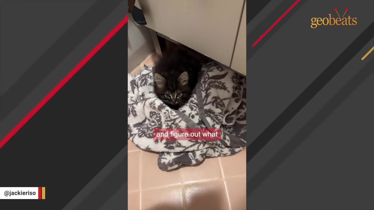 A small, fluffy dark tabby kitten sitting on a patterned grey and white towel on a tiled floor under a cabinet.