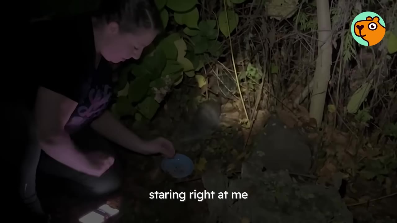 A woman looks into the dark brush at night next to a small blue bowl, with the subtitle 'staring right at me' displayed.