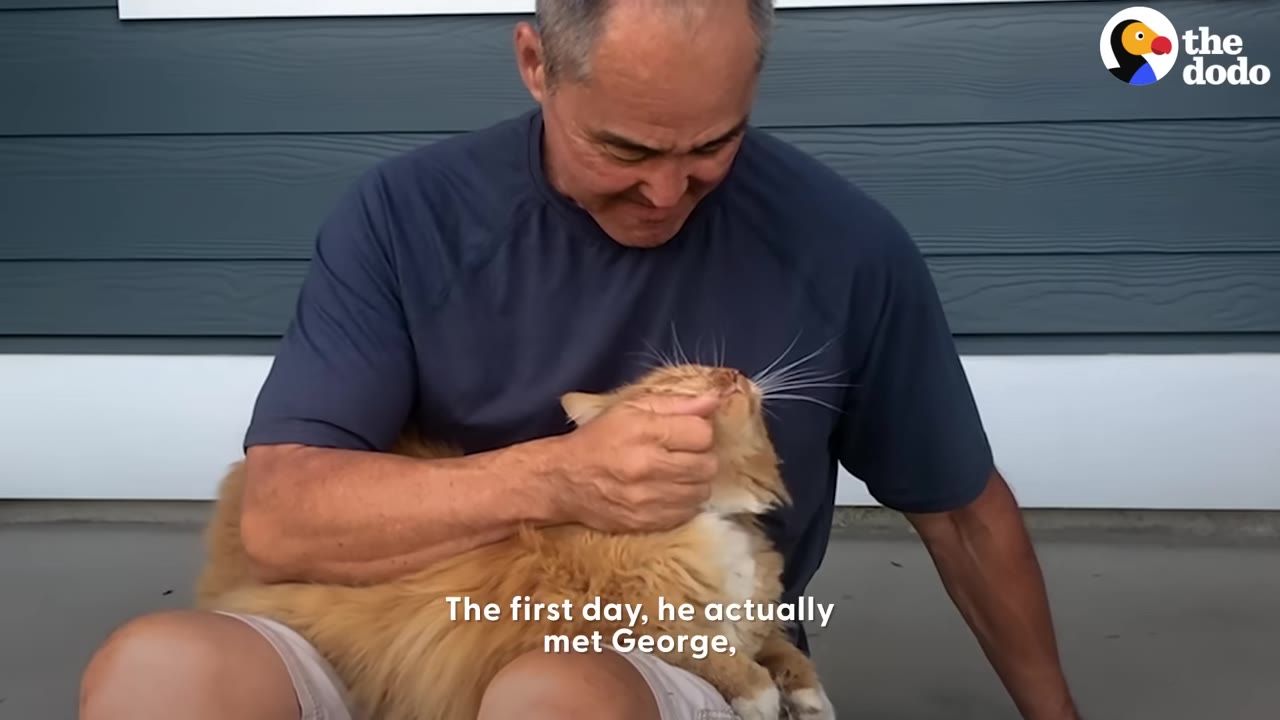 A man in a blue shirt sits outside, holding a fluffy orange and white cat on his lap and gently scratching its chin as the cat looks up at him.