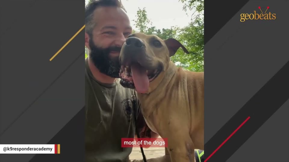Video frame for Bracing For A Vicious Monster