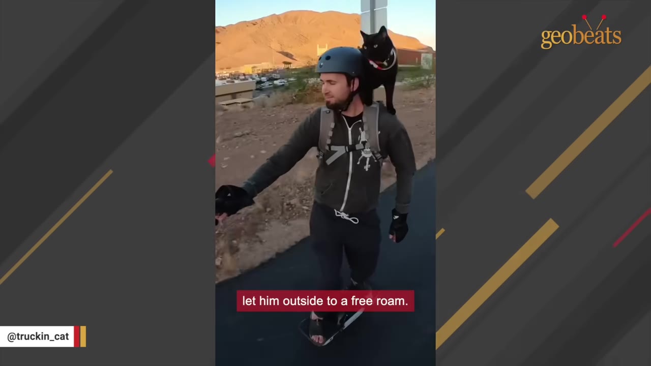 A man wearing a helmet and backpack rides an electric skateboard with a black cat perched on his shoulder.