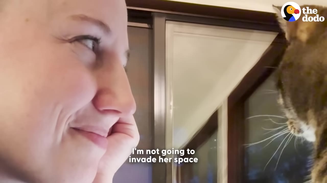 A close-up profile of a smiling woman looking patiently at a tabby cat, with the on-screen text 'I'm not going to invade her space'.