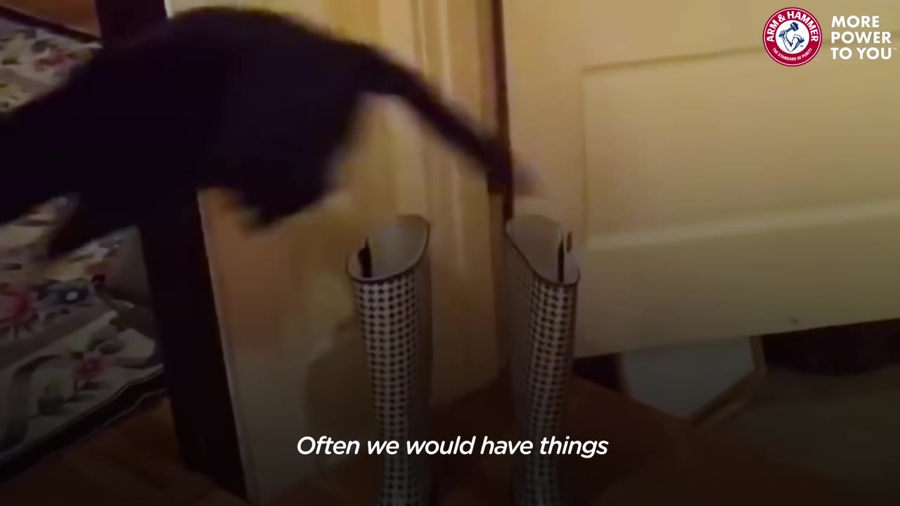 A black cat leaps through the air over a pair of tall, patterned boots standing in a doorway.