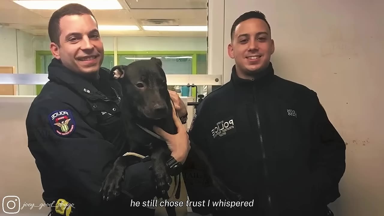 Two smiling police officers in uniform, with one holding a black Pitbull dog in his arms.