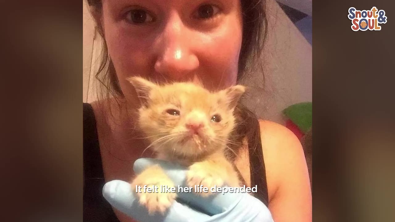 A close-up of a woman holding a tiny, fragile orange kitten in her gloved hand close to her face.