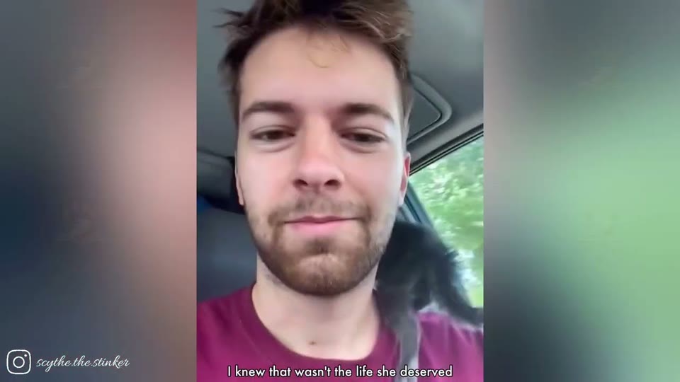 Video frame for Determined To Stay Close