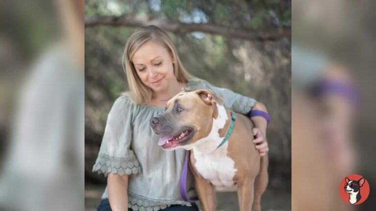 Georgia Pit Bull Found Wandering The Streets Surprises His Rescuer With A Sound No One Expected