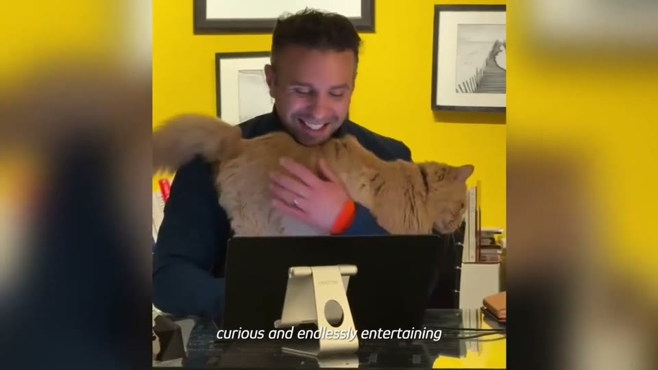 Video frame for Happy For The Company