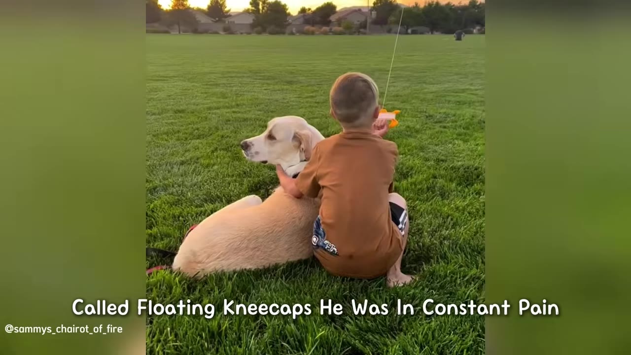 A young boy sits in a grassy field hugging a yellow dog, with text overlay reading 'Called Floating Kneecaps He Was In Constant Pain'.