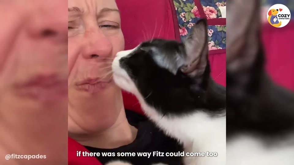 Video frame for Skipping The Awkward Phase