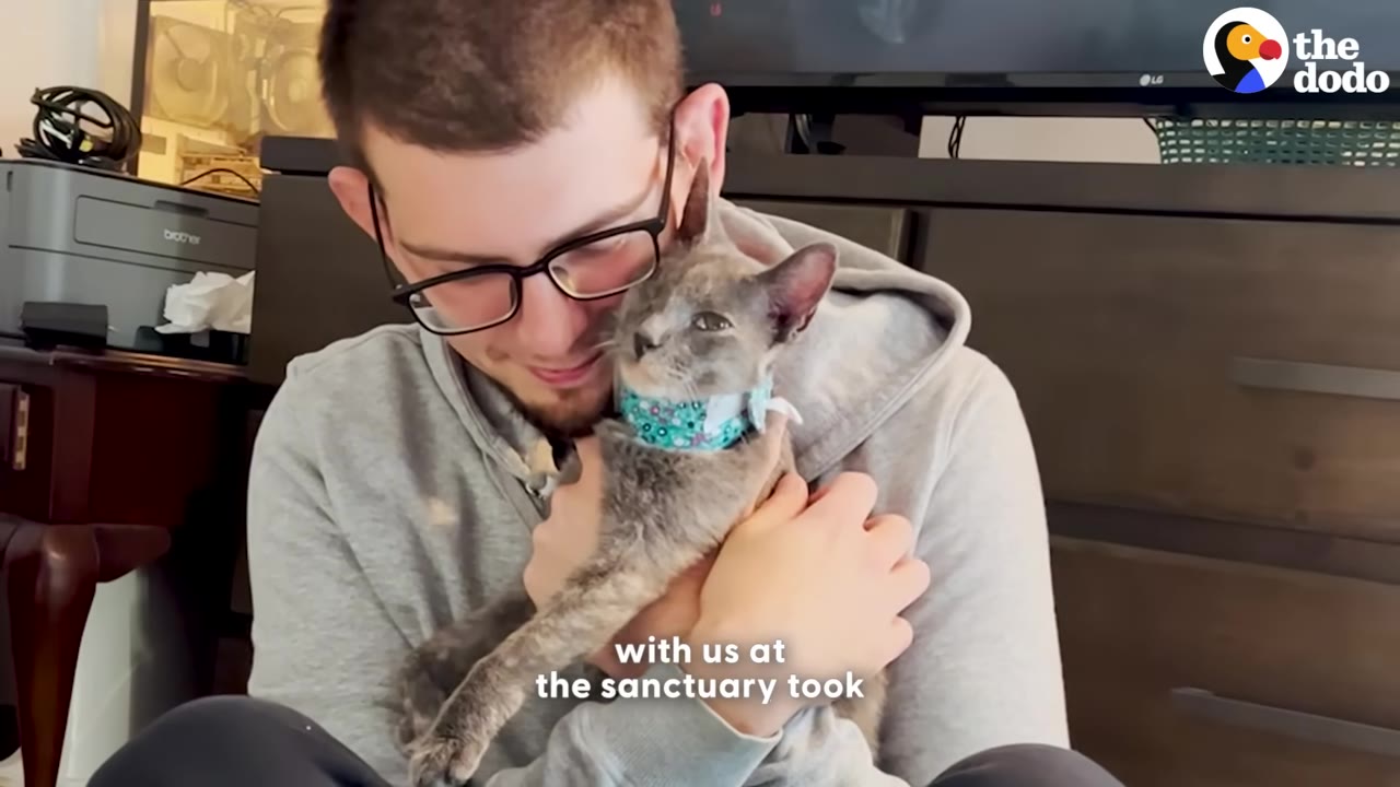 A man wearing glasses and a grey hoodie gently hugs a small grey cat wearing a floral collar close to his chest.