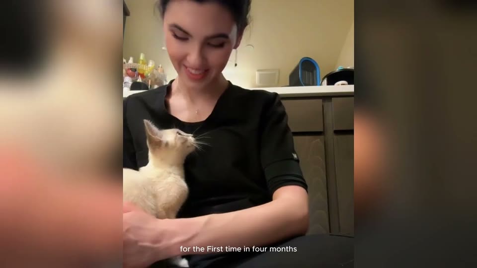Video frame for The Cat Nobody Wanted