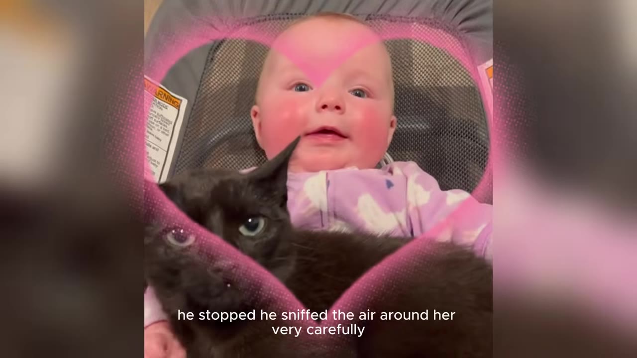 A close-up shot of a baby in a bouncer seat wearing purple pajamas, with a black cat sitting calmly in front of her.