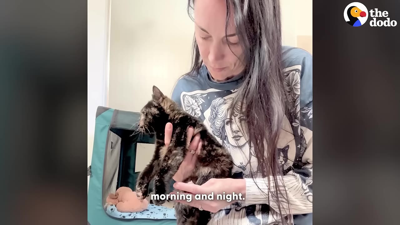 A woman with long dark hair holds a small tortoiseshell cat in her hands, looking down at it with care.