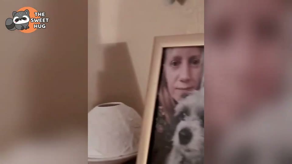 Video frame for The Hardest Rescue