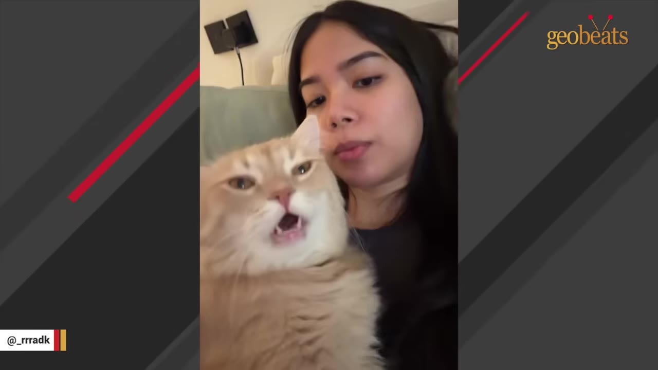 A close-up shot of a light orange cat with its mouth open as if meowing, held by a woman with long dark hair.