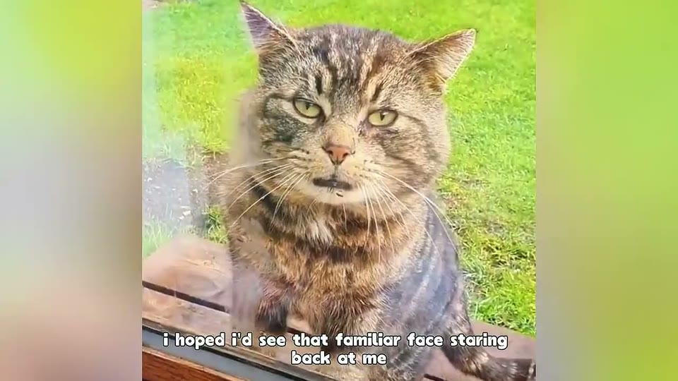 Video frame for The Morning He Didn't Show Up