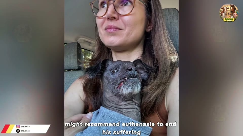 Video frame for The Overwhelming Scent Of Neglect