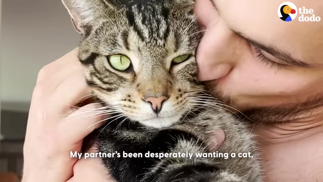 A close-up shot of a man kissing a tabby cat on the cheek while holding it close.