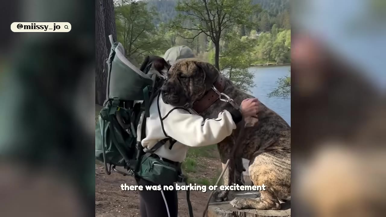 A person wearing a backpack hugs a large brindle dog outdoors near a lake.