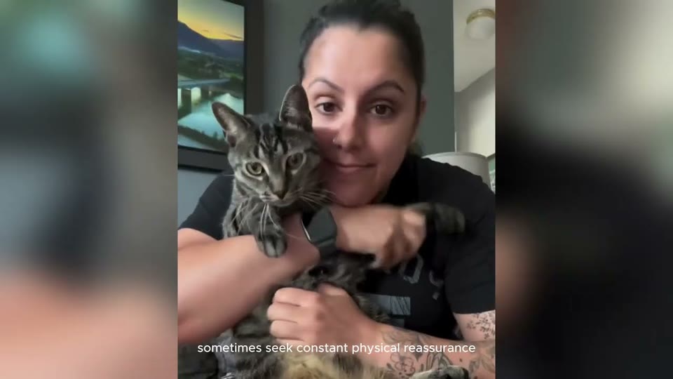 Video frame for Warnings From The Shelter