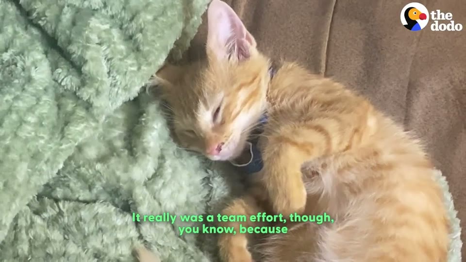 Video frame for Washing Away The Stray Life