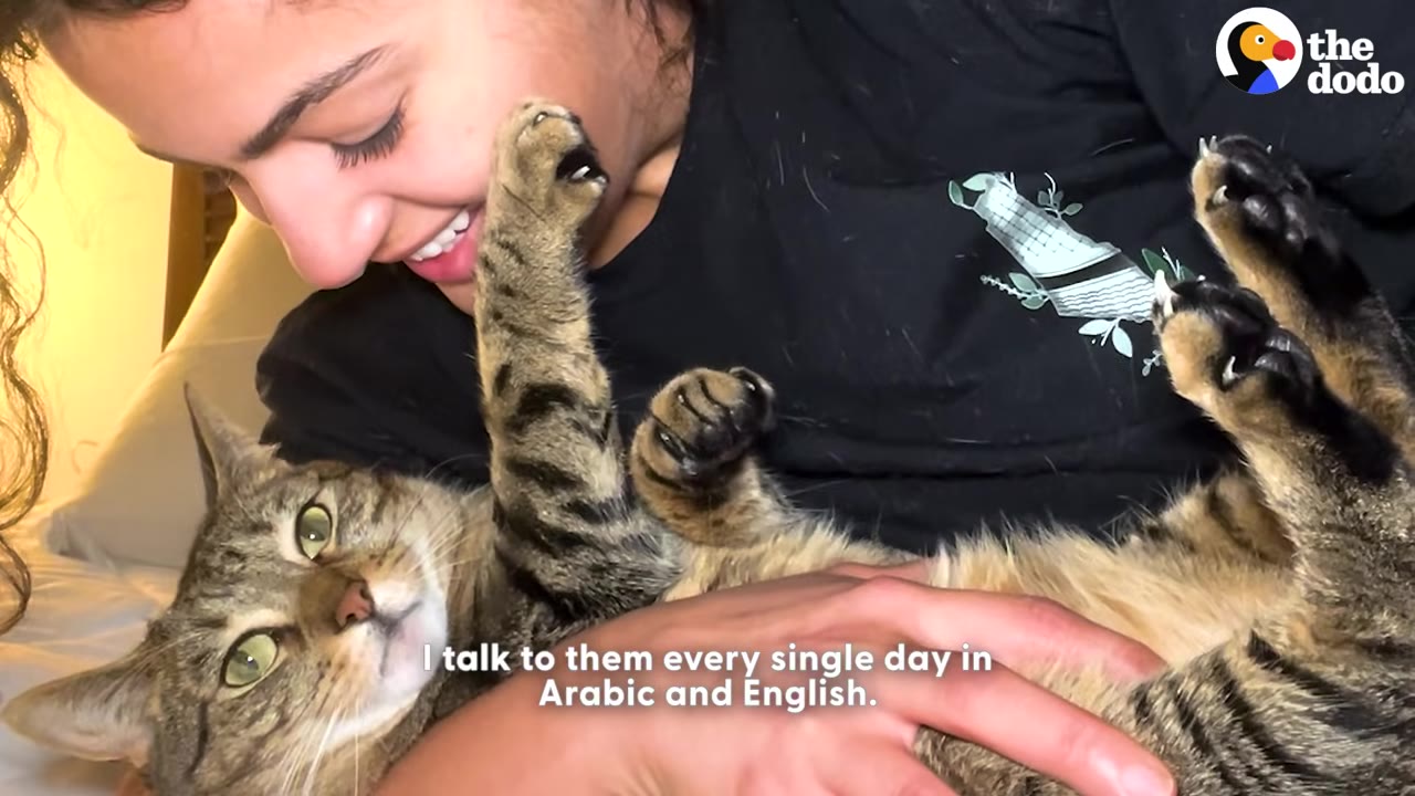 A smiling woman cuddles a tabby cat lying on its back, with text overlay reading 'I talk to them every single day in Arabic and English.'