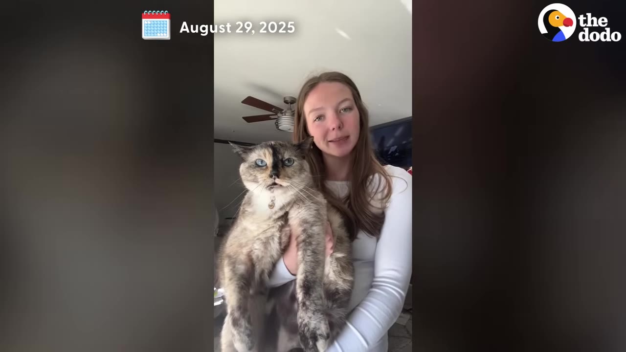A young woman with long brown hair holds a large, fluffy calico cat in her arms while looking at the camera.