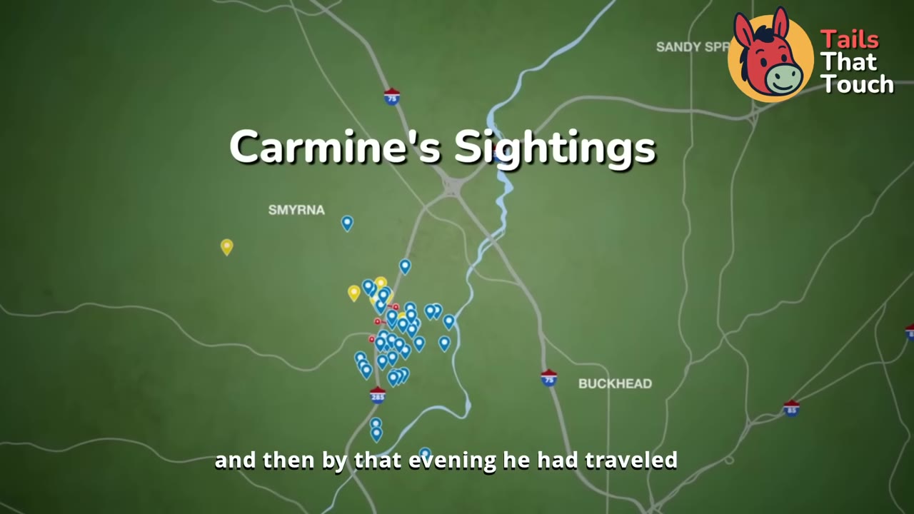 A map graphic titled 'Carmine's Sightings' showing numerous blue and yellow location pins clustered around Smyrna and Buckhead.