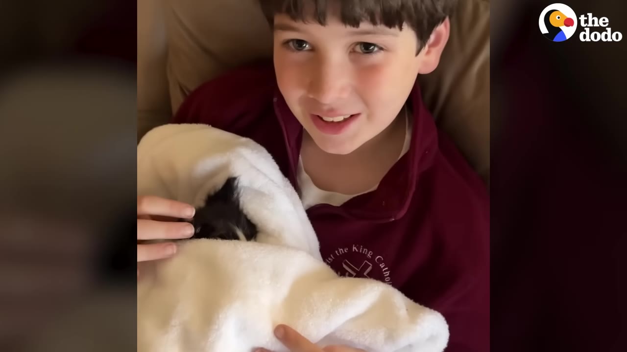 A young boy smiling while holding a small black and white kitten wrapped snugly in a soft white blanket.