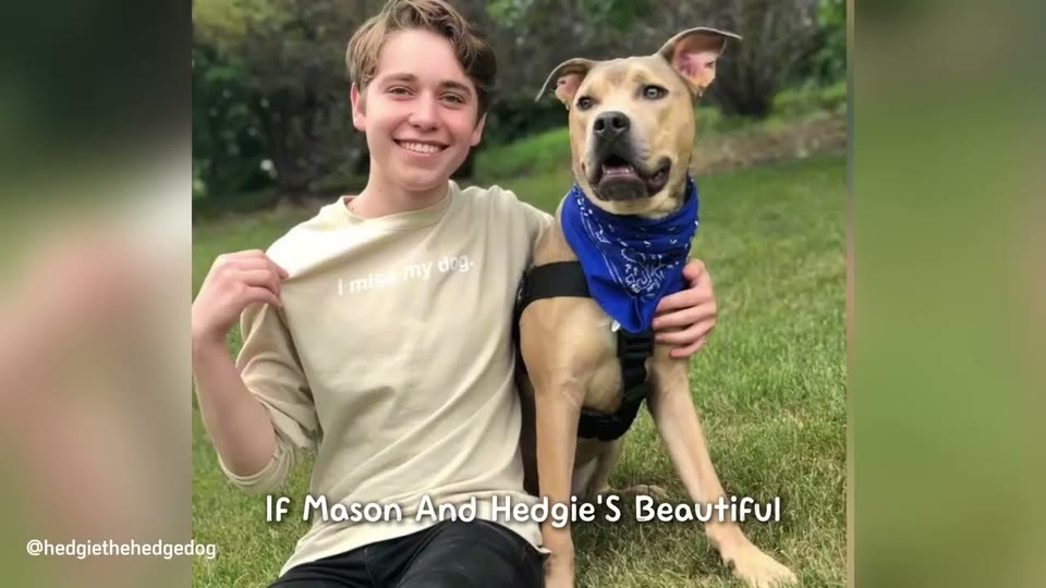 Video frame for A Morning Of Trust