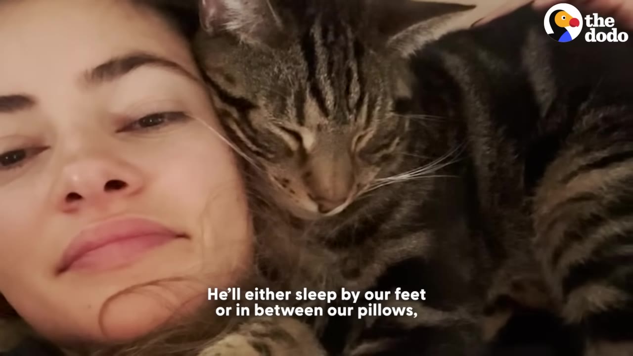 A close-up of a woman smiling gently as a tabby cat sleeps peacefully snuggled up against her face.