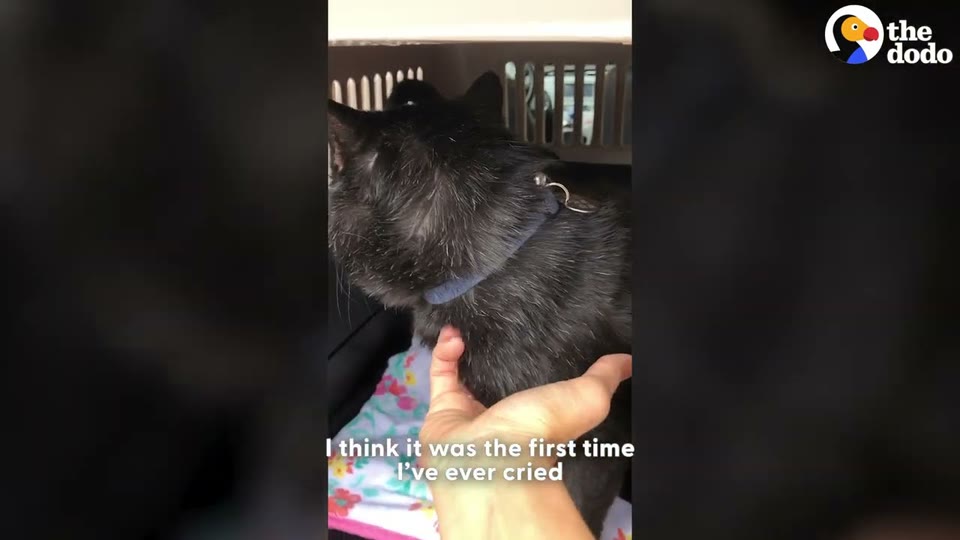 Video frame for A Paternal Shift