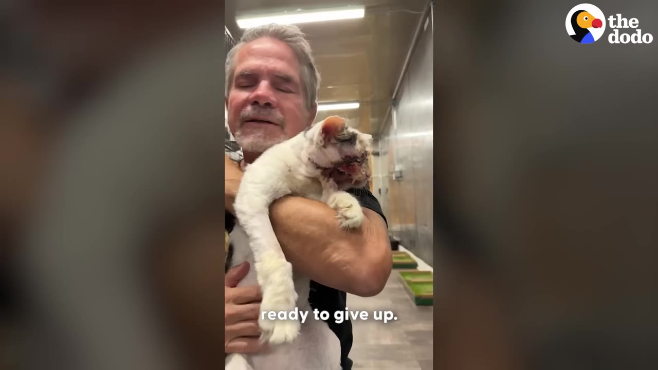 A man holds a white cat with facial injuries close to his chest with a tender, emotional expression.