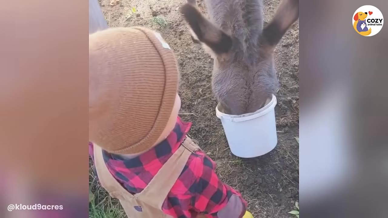 A young child wearing a brown beanie and a red plaid shirt with overalls watches a donkey eat from a small white bucket on the ground.