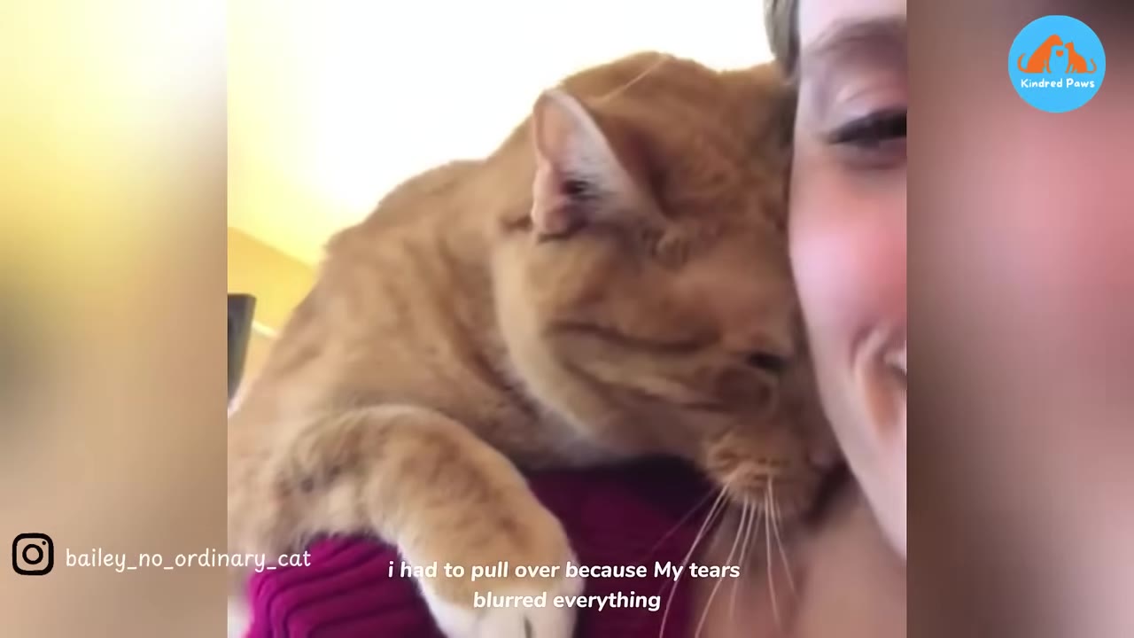 A close-up shot of an orange tabby cat resting its head affectionately against a person's cheek, with text on screen reading 'i had to pull over because My tears blurred everything'.