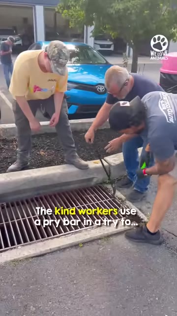 Three men gather around a metal storm drain grate, with one man using a pry bar to lift it.