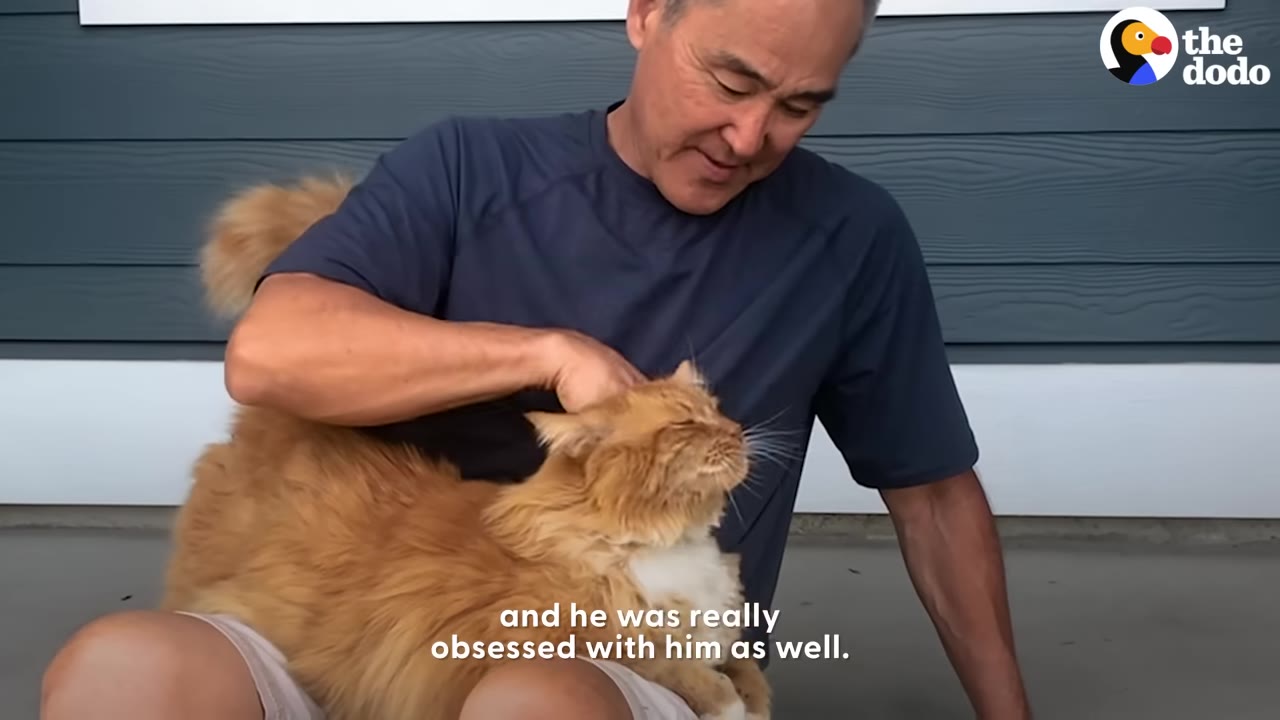 A man in a blue shirt smiles as he sits and pets a fluffy orange and white cat resting on his lap.