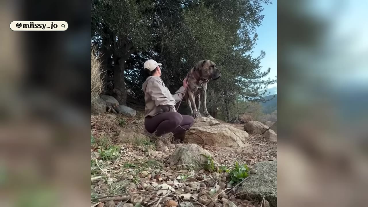 A woman in a cap and jacket crouches on a rocky slope, gently placing her hand on the side of a large brindle dog standing beside her.