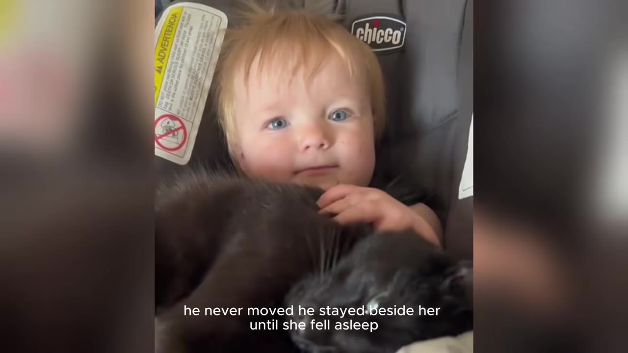 A close-up of a blue-eyed baby smiling in a car seat with a black cat snuggled against her chest.