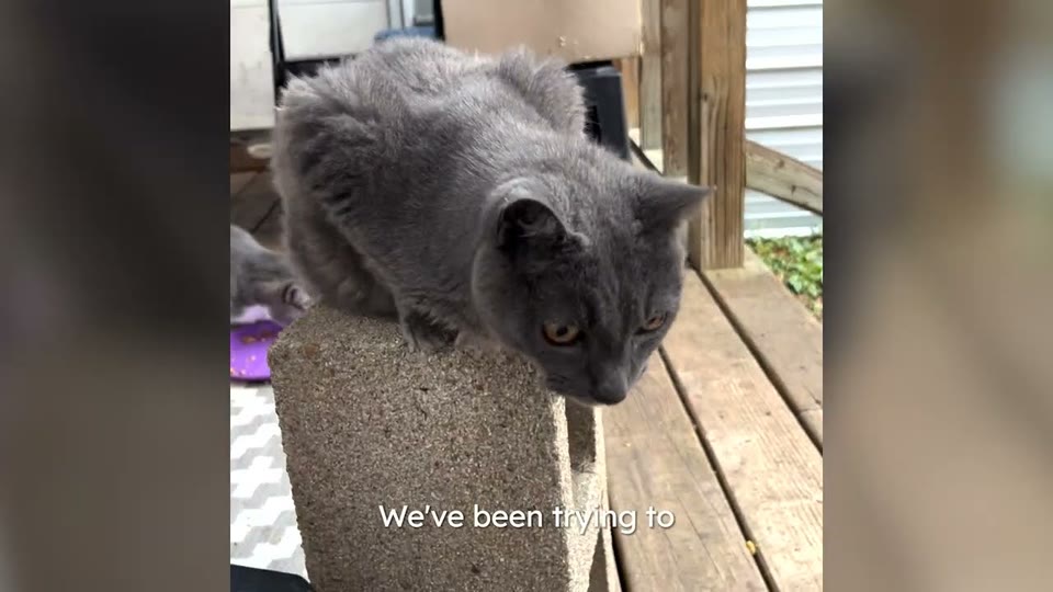 Video frame for Keeping The Family Together