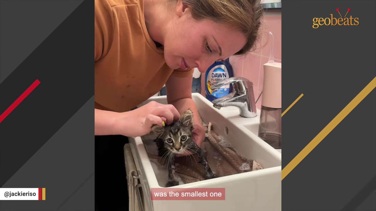 A woman gently washes a small, wet tabby kitten in a bathroom sink, looking down at it with a caring expression.