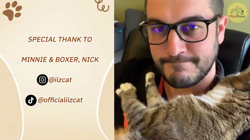 Video frame for Nick's Constant Shadow