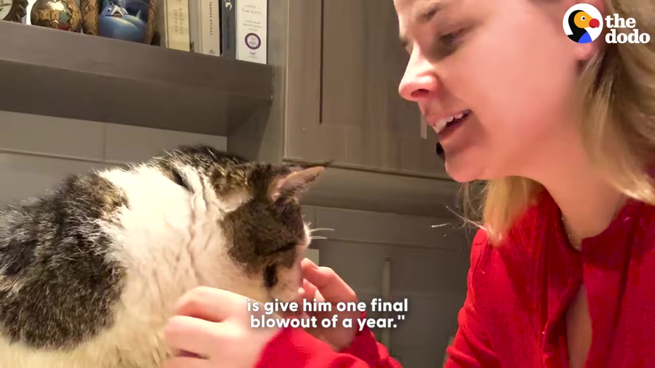 A close-up profile of a blonde woman in a red shirt looking lovingly at a fluffy brown and white cat while gently petting its head.