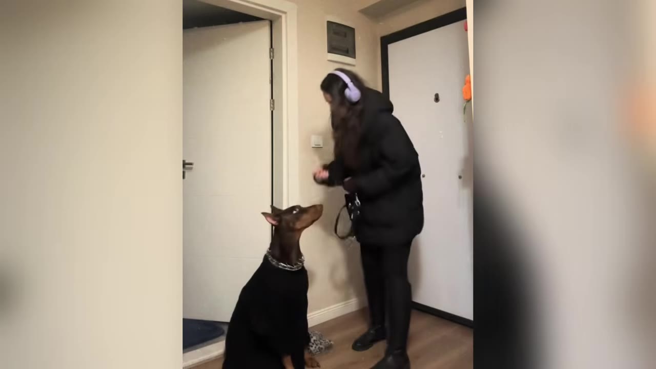 A woman wearing a black winter coat and purple headphones stands in a hallway holding a leash, looking down at a Doberman sitting on the floor.