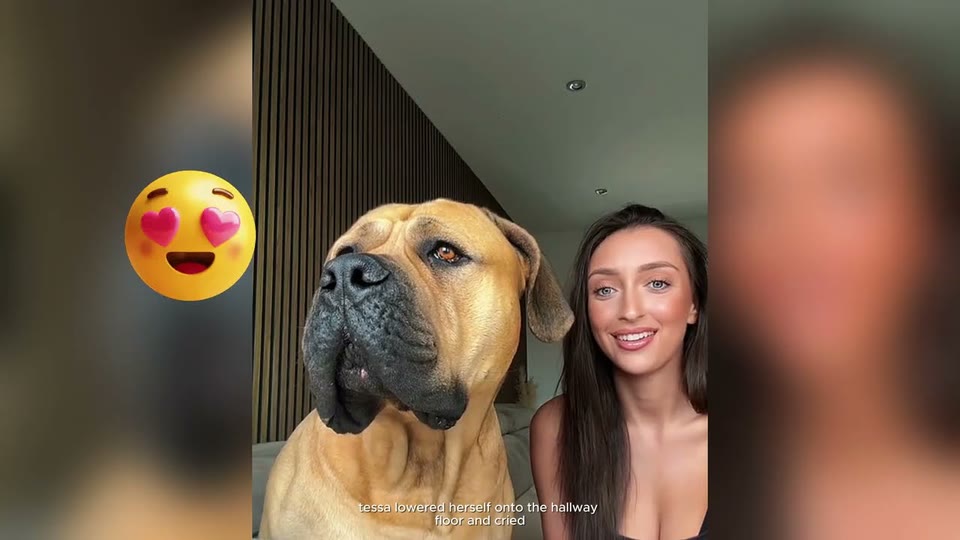 Video frame for The Dog Who Slept Sitting Up