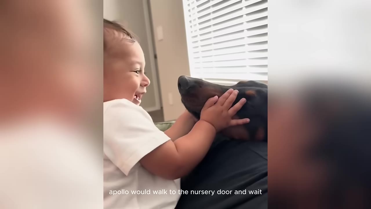 A close-up shot of a smiling baby gently holding the snout of a Doberman dog with both hands.
