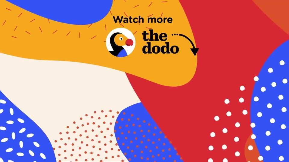Video frame for The Power Of Patience