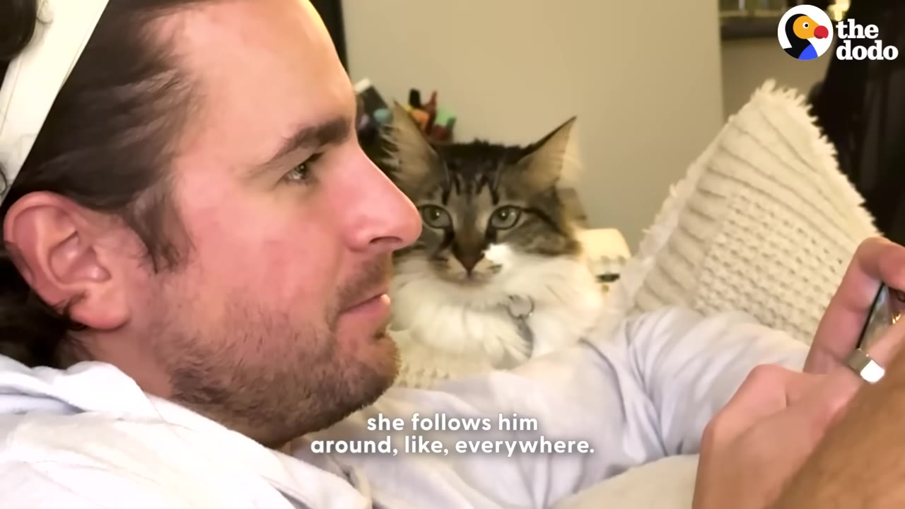 A fluffy long-haired cat sits closely behind a man, looking over his shoulder as he looks at his phone.